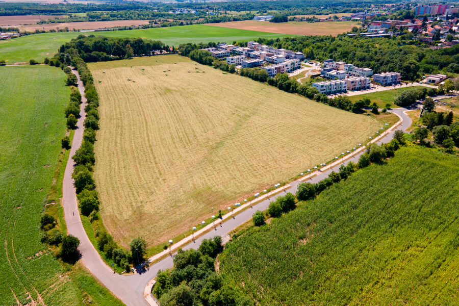 DJI_0024