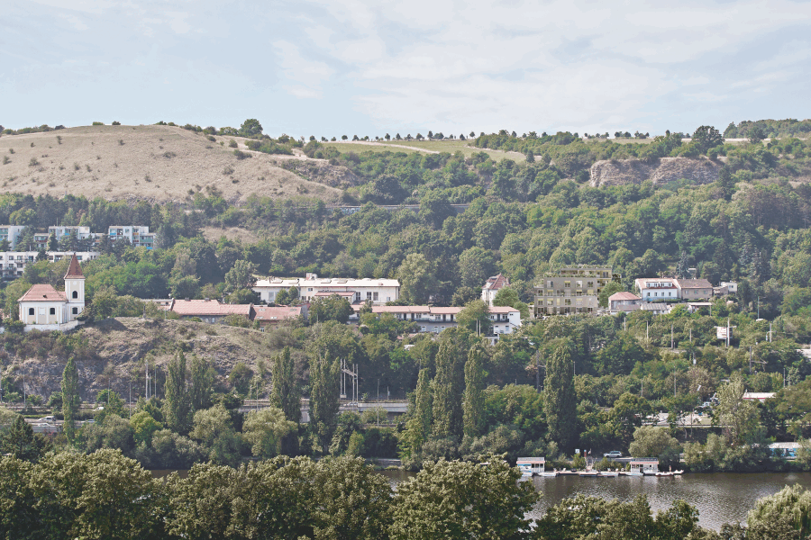 NZL NS 42 vizu IPR vysehrad